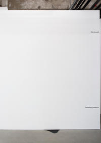 Vorderes Coverbild We showed - Sammlung Haubrok