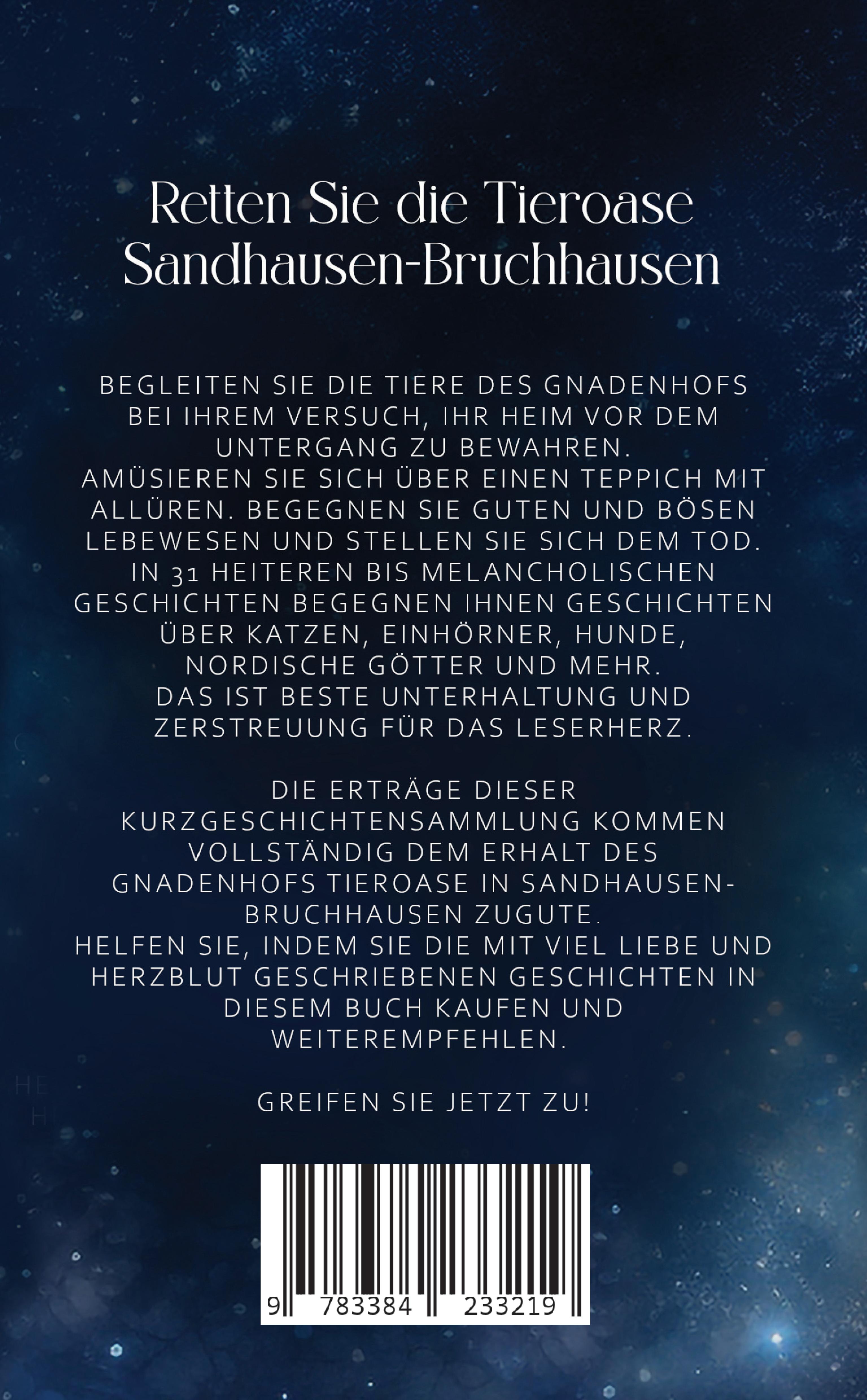 Rückseitencover Blauer Nebel