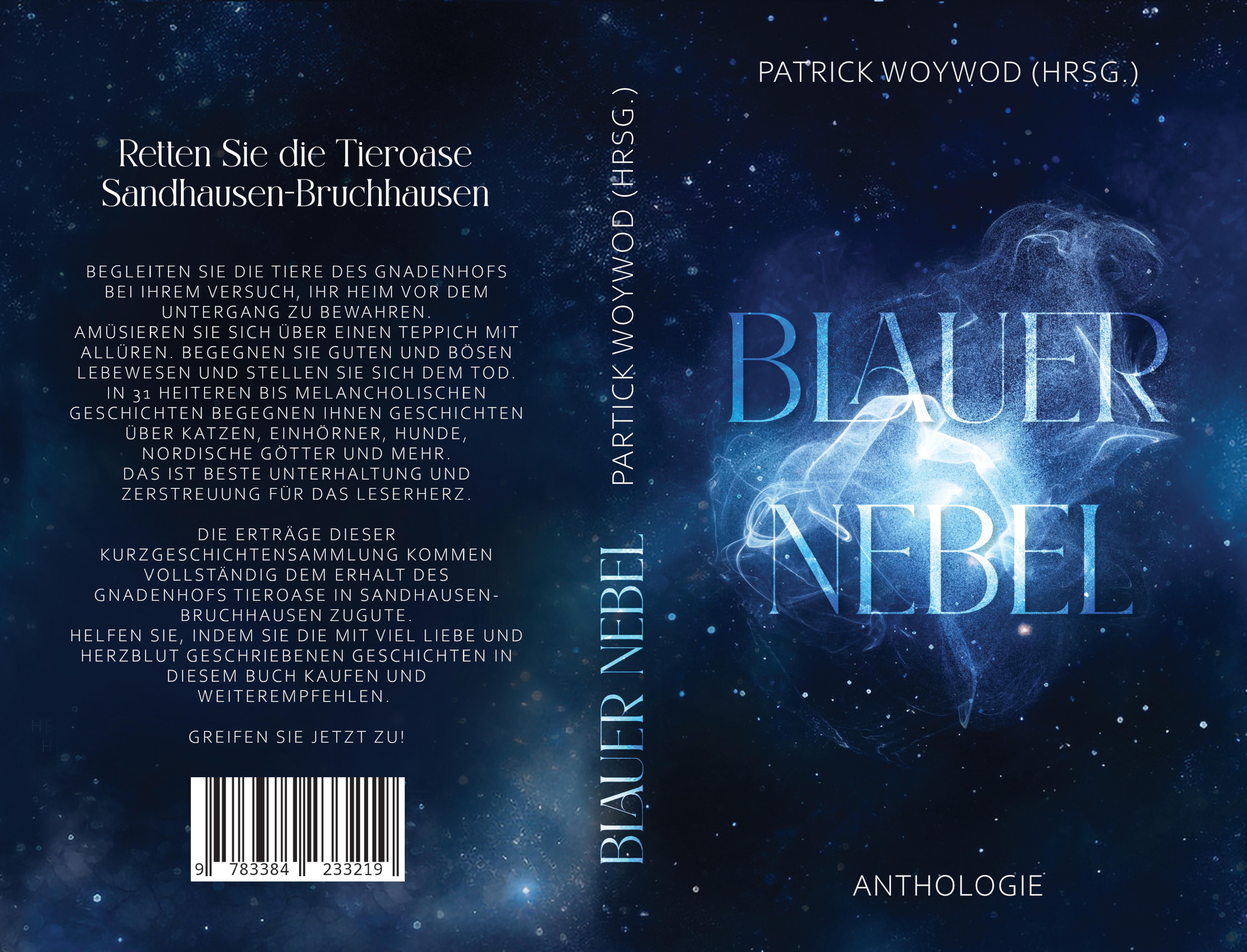 Gesamtes Coverbild Blauer Nebel