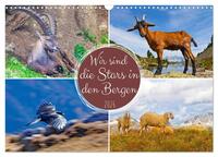 Vorderes Coverbild Wir sind die Stars in den Bergen (Wandkalender 2026 DIN A3 quer), CALVENDO Monatskalender