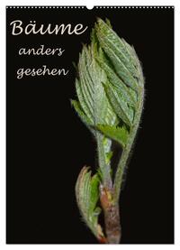 Vorderes Coverbild Bäume anders gesehen (Wandkalender 2025 DIN A2 hoch), CALVENDO Monatskalender