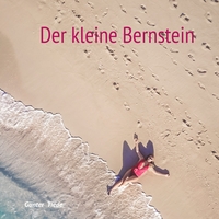 Vorderes Coverbild Der kleine Bernstein