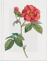 Vorderes Coverbild Geschichte der Rose Großes Notizheft Motiv Französische Rose
