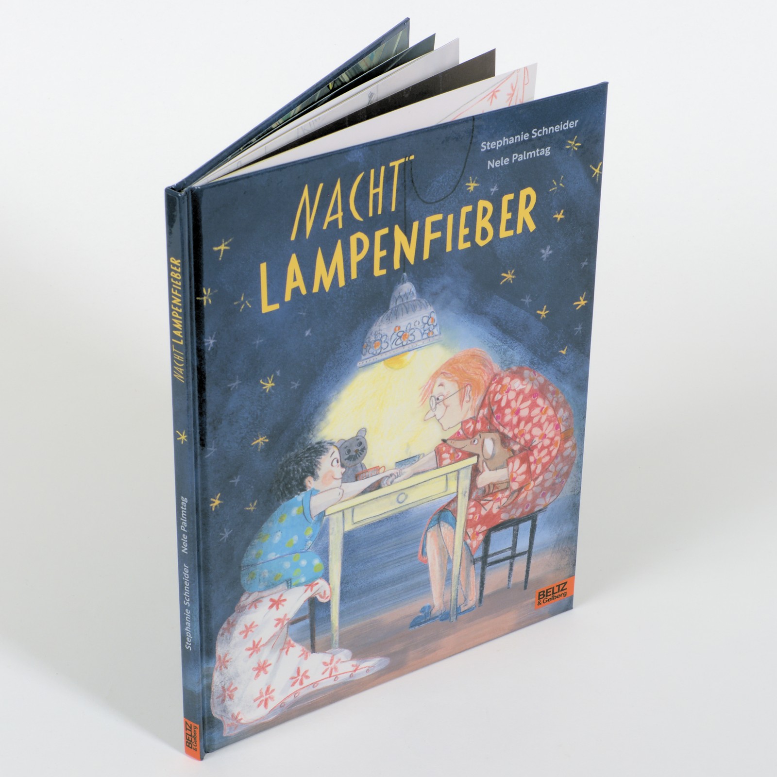 Anderes Coverbild Nachtlampenfieber