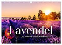 Vorderes Coverbild Lavendel - Die violette Wunderblume (Wandkalender 2025 DIN A3 quer), CALVENDO Monatskalender