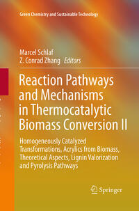 Vorderes Coverbild Reaction Pathways and Mechanisms in Thermocatalytic Biomass Conversion II