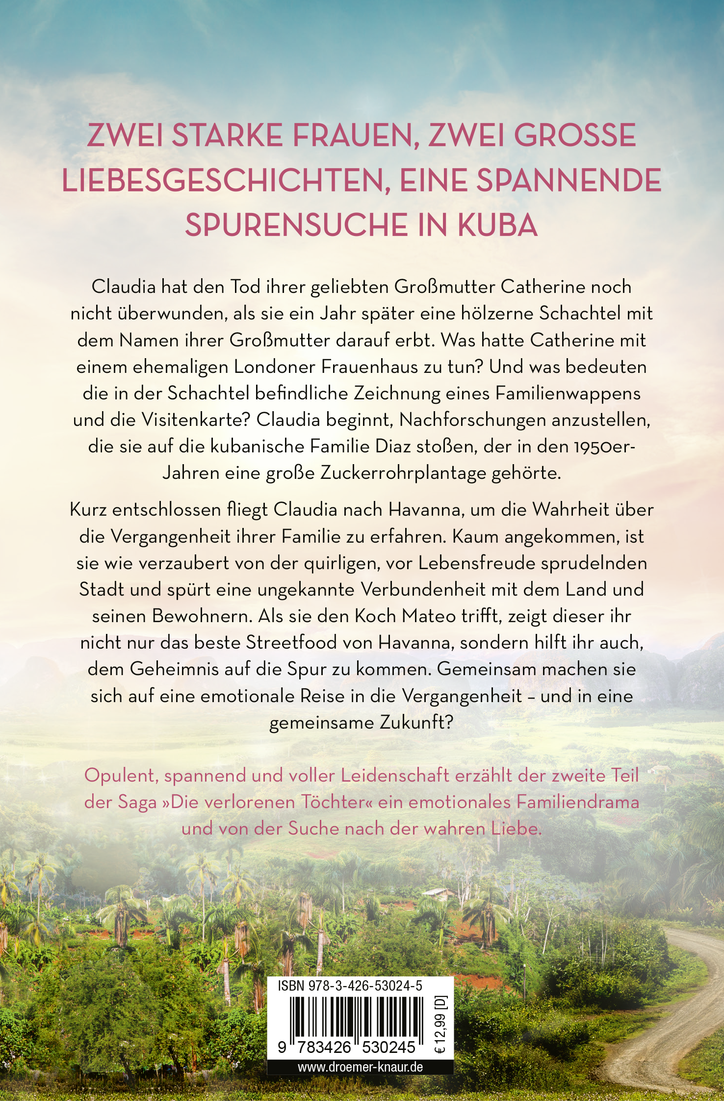 Rückseitencover Die vermisste Tochter