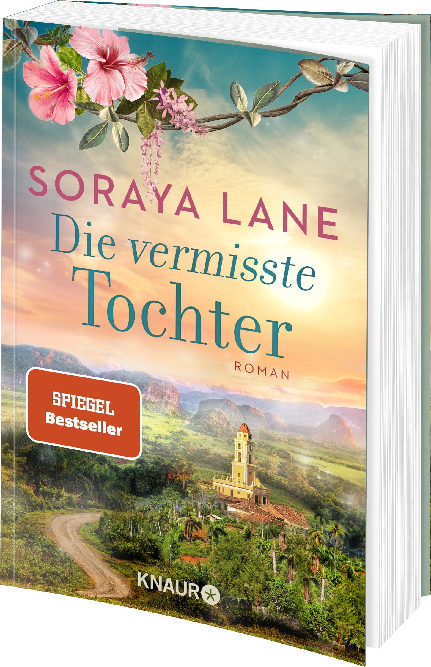 Anderes Coverbild Die vermisste Tochter