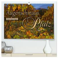 Vorderes Coverbild Augenschmaus Pfalz (hochwertiger Premium Wandkalender 2025 DIN A2 quer), Kunstdruck in Hochglanz