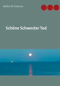 Vorderes Coverbild Schöne Schwester Tod