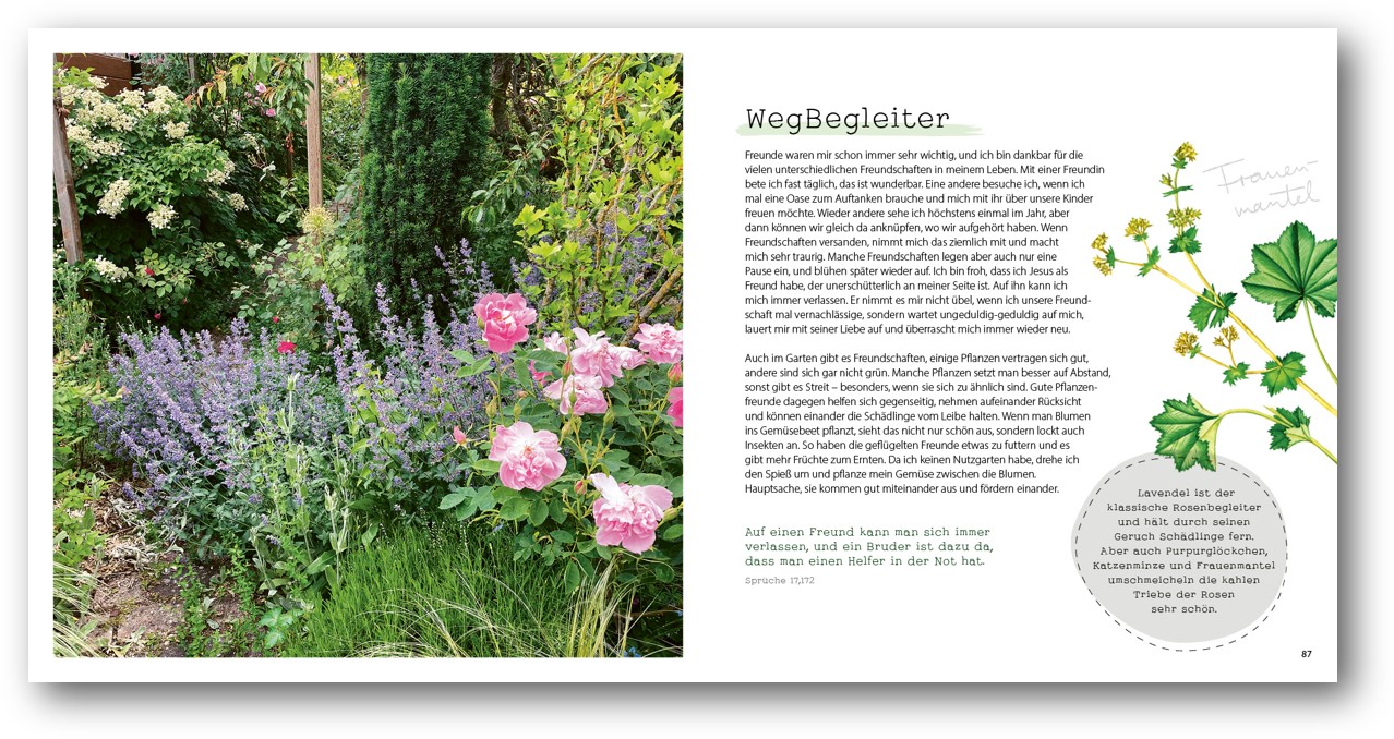 Beispielinhalt (Bild) GartenGlück