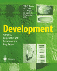 Vorderes Coverbild Development