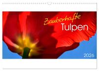 Vorderes Coverbild Zauberhafte Tulpen (Wandkalender 2026 DIN A3 quer), CALVENDO Monatskalender