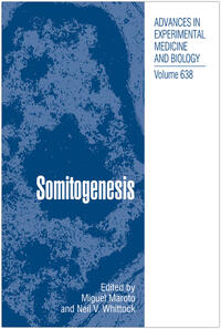Vorderes Coverbild Somitogenesis