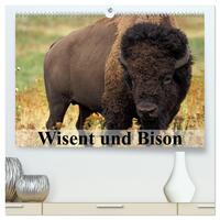 Vorderes Coverbild Wisent und Bison (hochwertiger Premium Wandkalender 2025 DIN A2 quer), Kunstdruck in Hochglanz