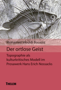 Vorderes Coverbild Der ortlose Geist