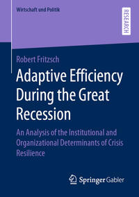 Vorderes Coverbild Adaptive Efficiency During the Great Recession