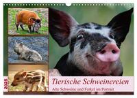 Vorderes Coverbild Tierische Schweinereien (Wandkalender 2025 DIN A3 quer), CALVENDO Monatskalender