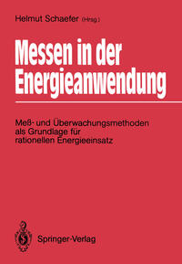 Vorderes Coverbild Messen in der Energieanwendung