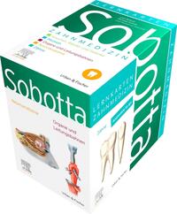 Vorderes Coverbild Sobotta Lernkarten Anatomie für die Zahnmedizin