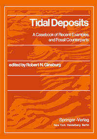 Vorderes Coverbild Tidal Deposits