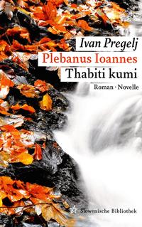 Vorderes Coverbild Plebanus Ioannes