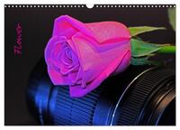 Vorderes Coverbild Flower (Wandkalender 2025 DIN A3 quer), CALVENDO Monatskalender