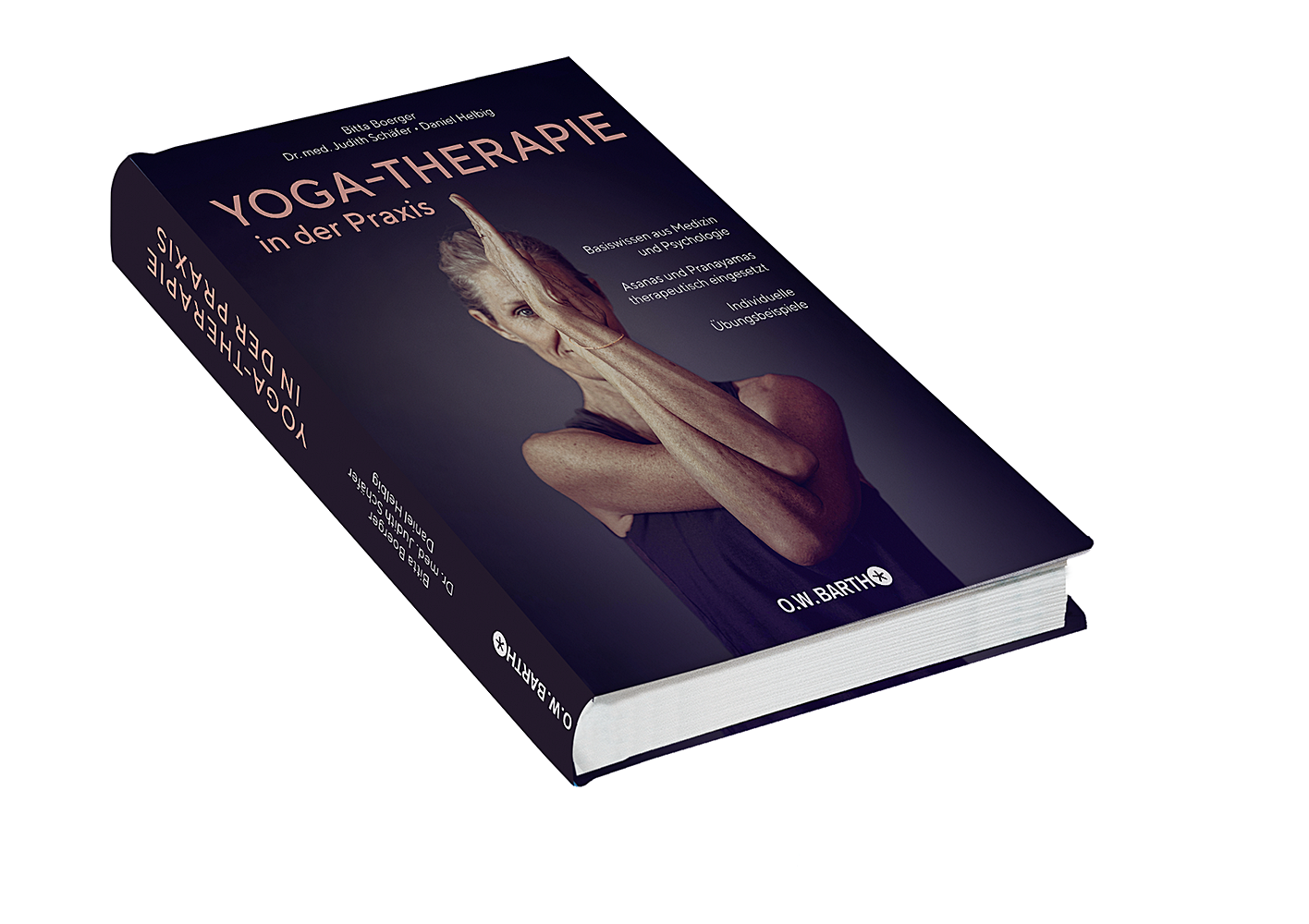 Beispielinhalt (Bild) Yoga-Therapie in der Praxis