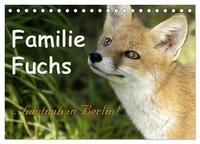 Vorderes Coverbild Familie Fuchs hautnah in Berlin (Tischkalender 2026 DIN A5 quer), CALVENDO Monatskalender