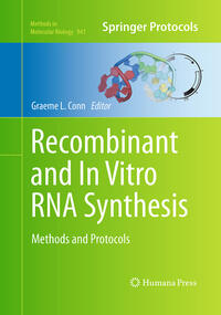 Vorderes Coverbild Recombinant and In Vitro RNA Synthesis
