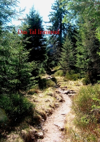 Vorderes Coverbild Das Tal Irminsul