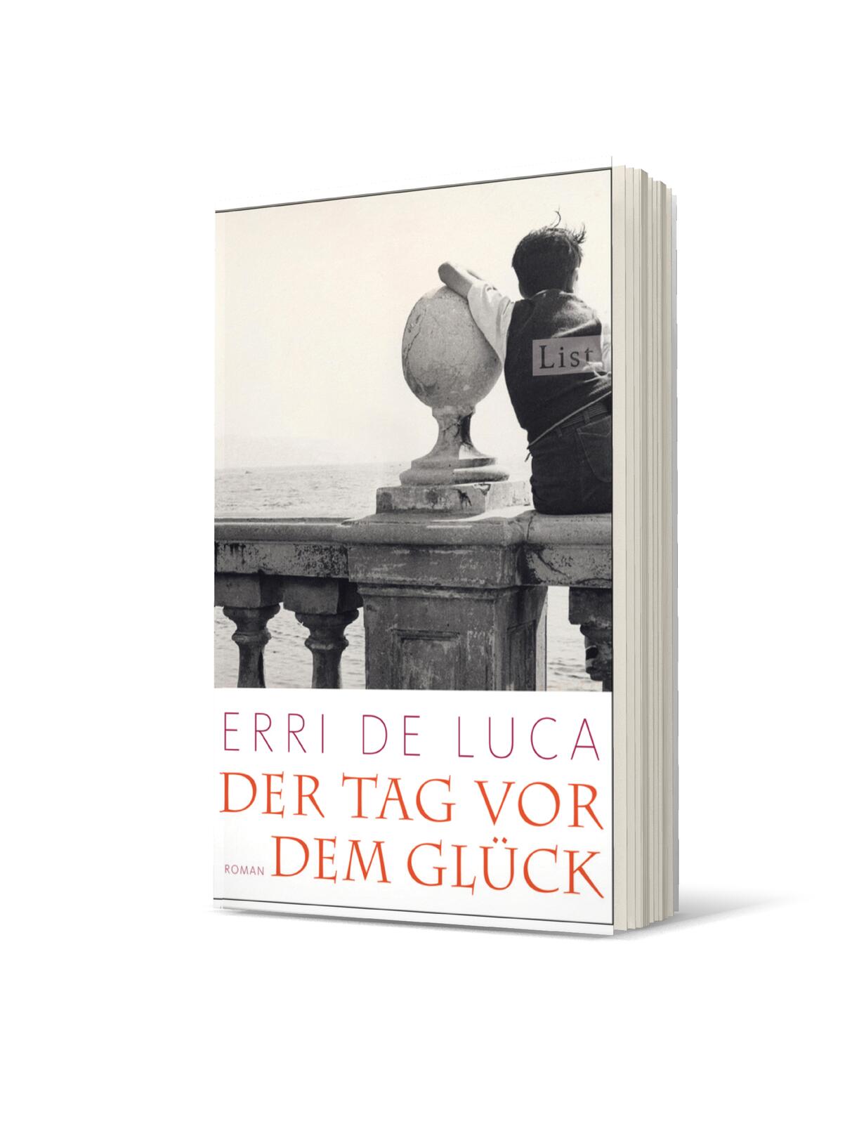 Anderes Coverbild Der Tag vor dem Glück