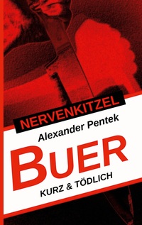 Vorderes Coverbild Nervenkitzel Buer