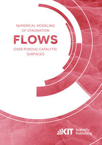 Vorderes Coverbild Numerical Modeling of Stagnation Flows over Porous Catalytic Surfaces