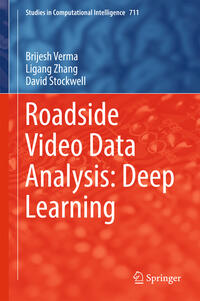 Vorderes Coverbild Roadside Video Data Analysis
