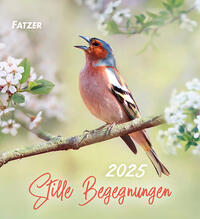 Vorderes Coverbild Stille Begegnungen 2025