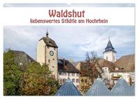 Vorderes Coverbild Waldshut - liebenswertes Städtle am Hochrhein (Wandkalender 2025 DIN A2 quer), CALVENDO Monatskalender