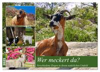 Vorderes Coverbild Wer meckert da? (Wandkalender 2025 DIN A2 quer), CALVENDO Monatskalender