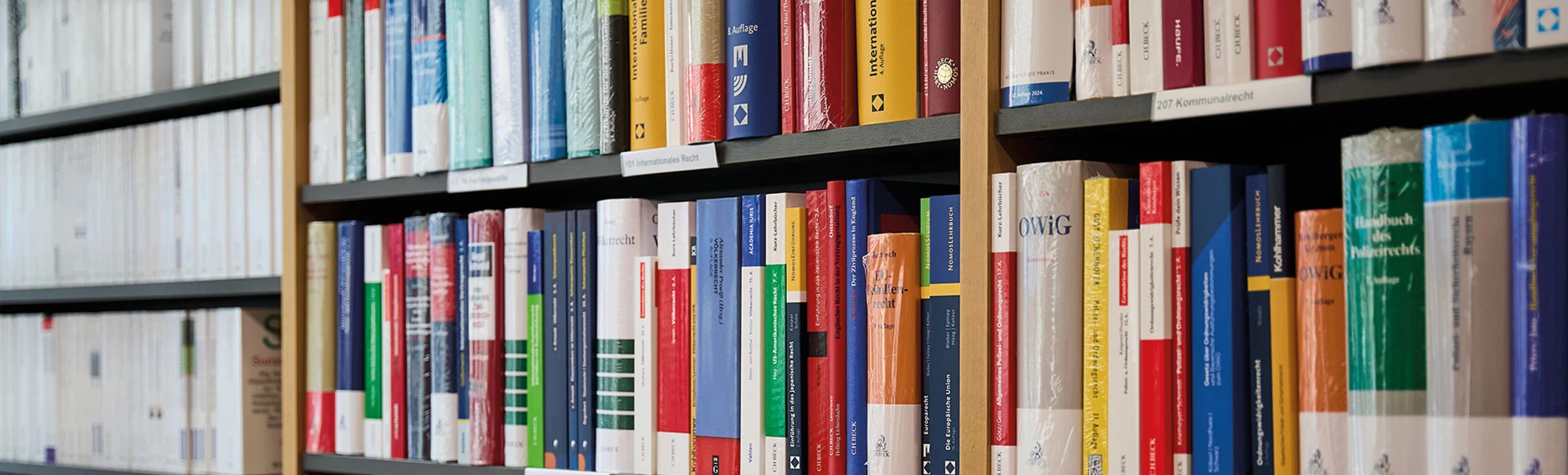 Bücherregal gefüllt mit juristischen Titeln